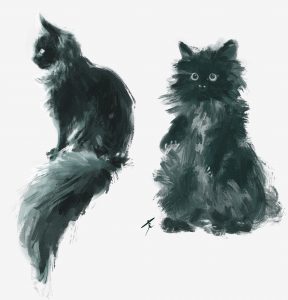 Kitties