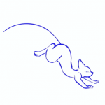 Canter exercise
