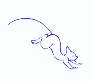 Canter exercise