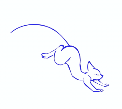 Canter exercise